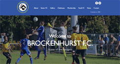 Desktop Screenshot of brockenhurstfc.co.uk